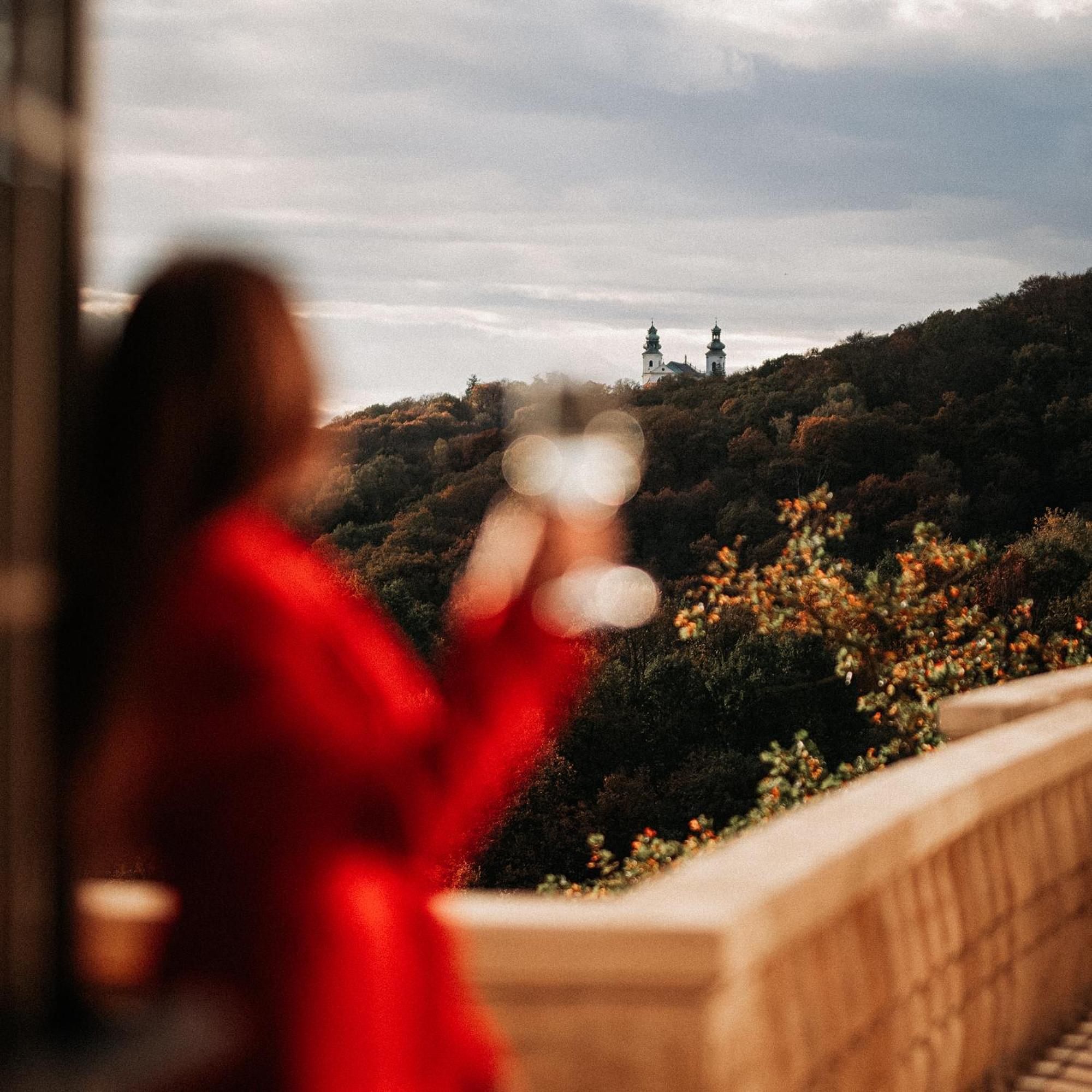 Zinar Castle Otel Krakow Dış mekan fotoğraf